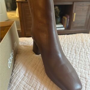 Dolce Vita Women's Chocolate Heeled Boots